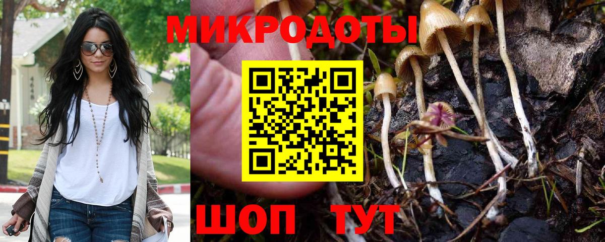 Галлюциногенные грибы GOLDEN TEACHER Среднеуральск