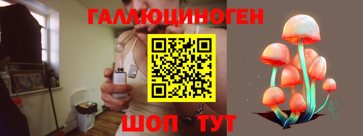 Псилоцибиновые грибы Psilocybine cubensis  Вход с VPN  Среднеуральск  где купить наркоту  Псилоцибиновые грибы Cubensis 